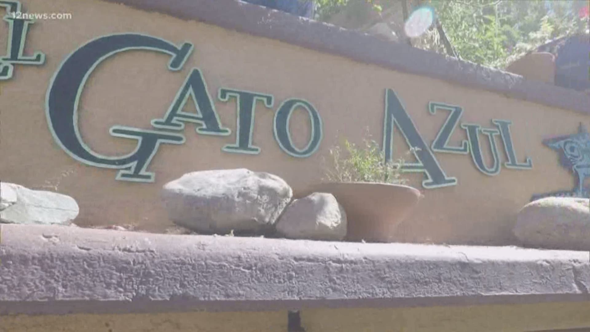 Just a short walk across the Granite Creek, you'll find a restaurant that will make your taste buds purr: El Gato Azul.