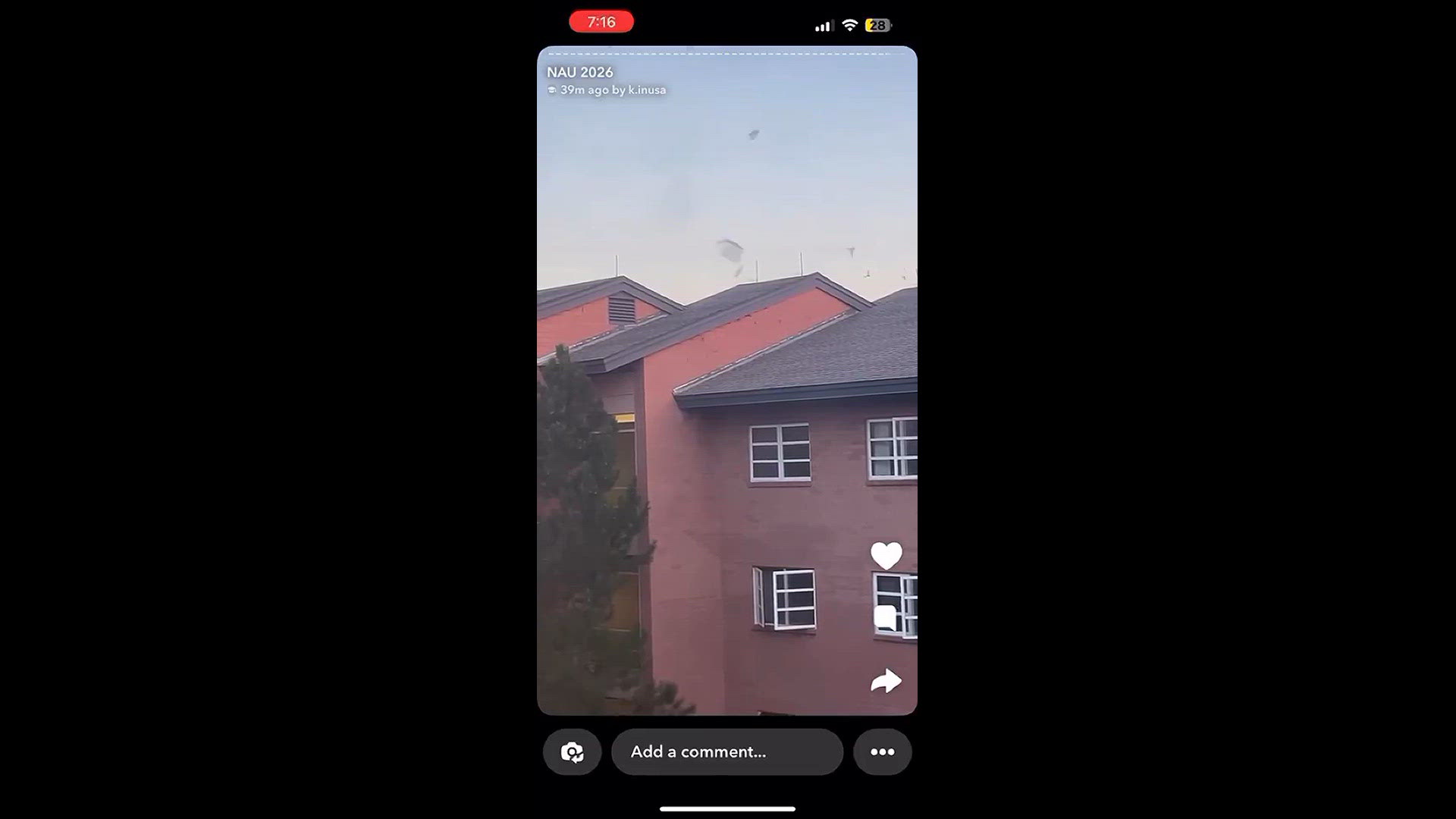 Bats sighted near the Mountain View Hall dorm. Video provided by Brandon Stidham.