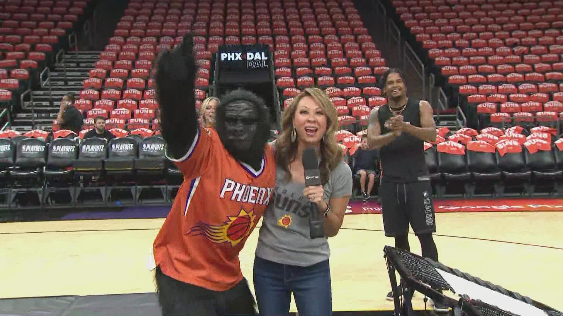 Halftime at the Footprint Center is a party! Here's a preview of what you can expect as the Suns mascot, Go the Gorilla, completes a Gorilla Dunk with Tram Mai.