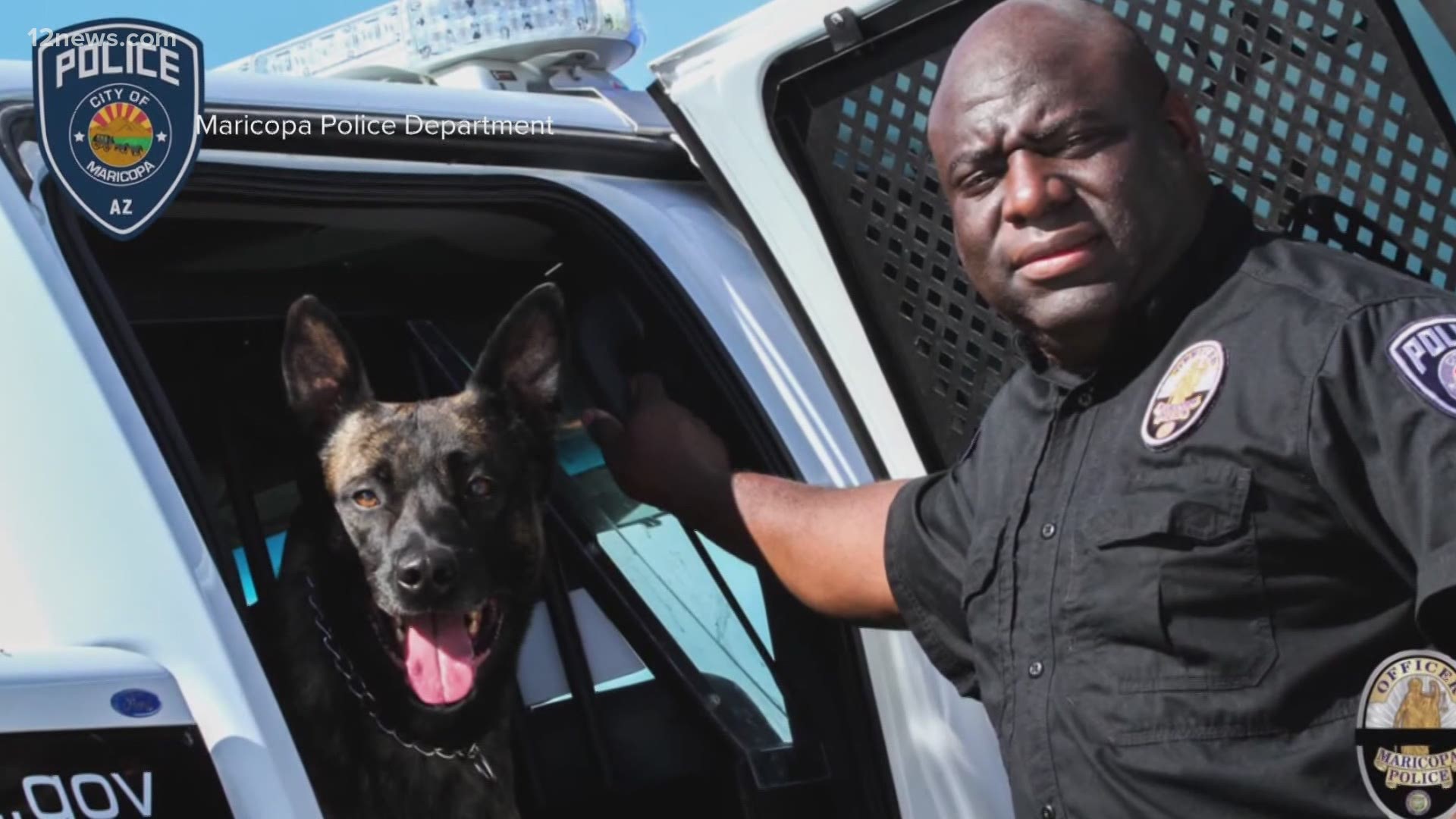 Officer Craig Curry will be suspended for 20 hours without pay after he left his K9, Ike, in his patrol car last June.