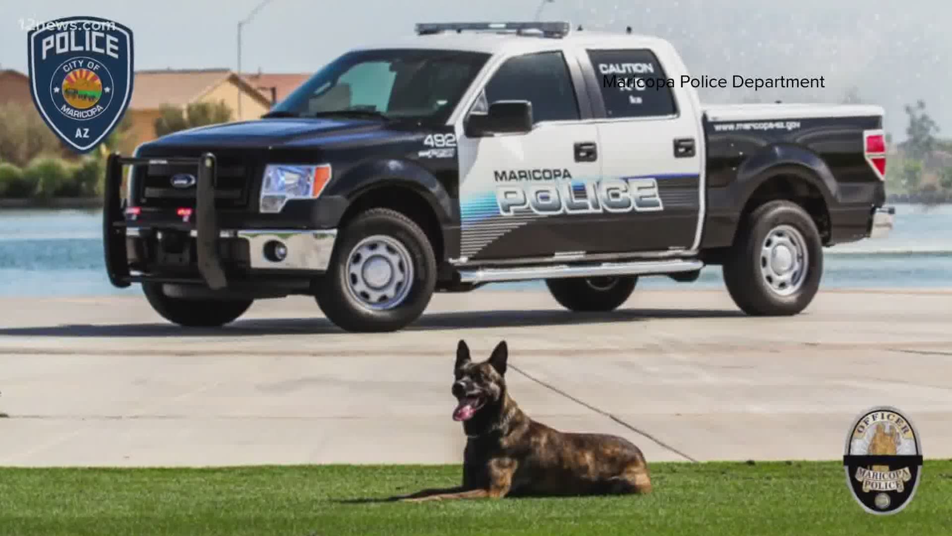 K-9 Ike was with the department for almost 11 years. What exactly caused his death is a mystery and an investigation into the death has been opened.