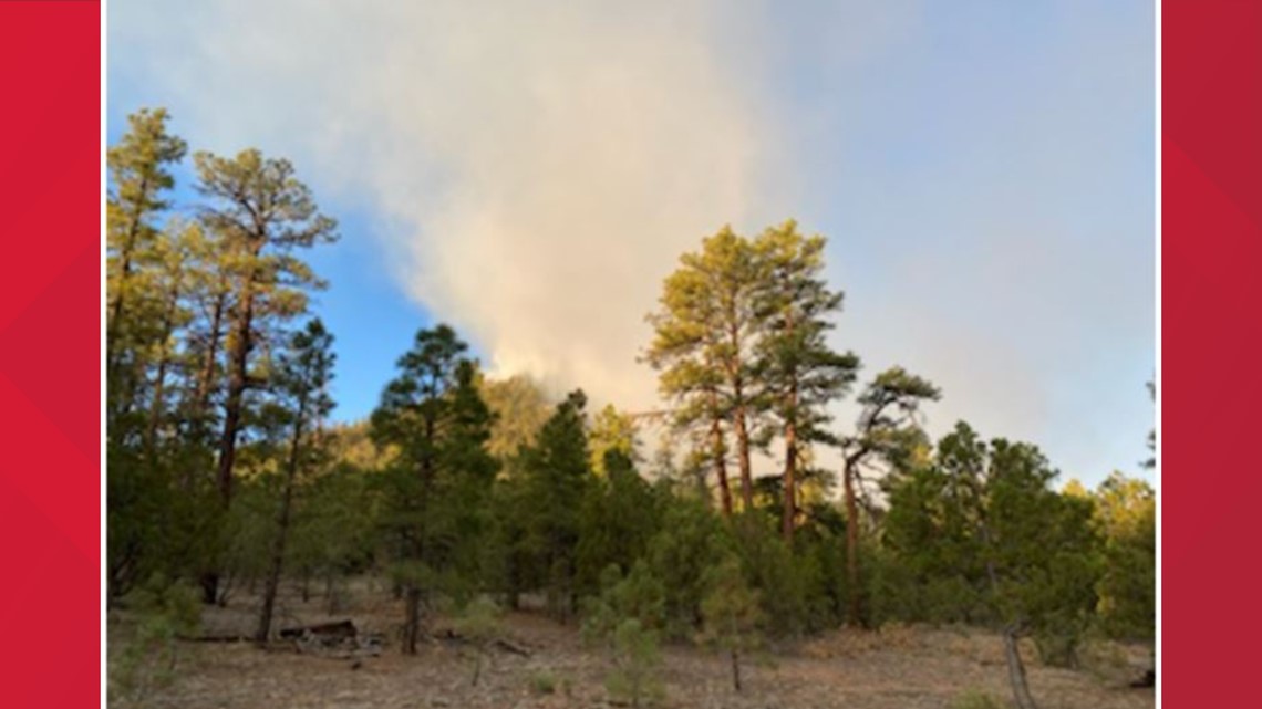 Five national forests closed due to wildfires across Arizona | 12news.com