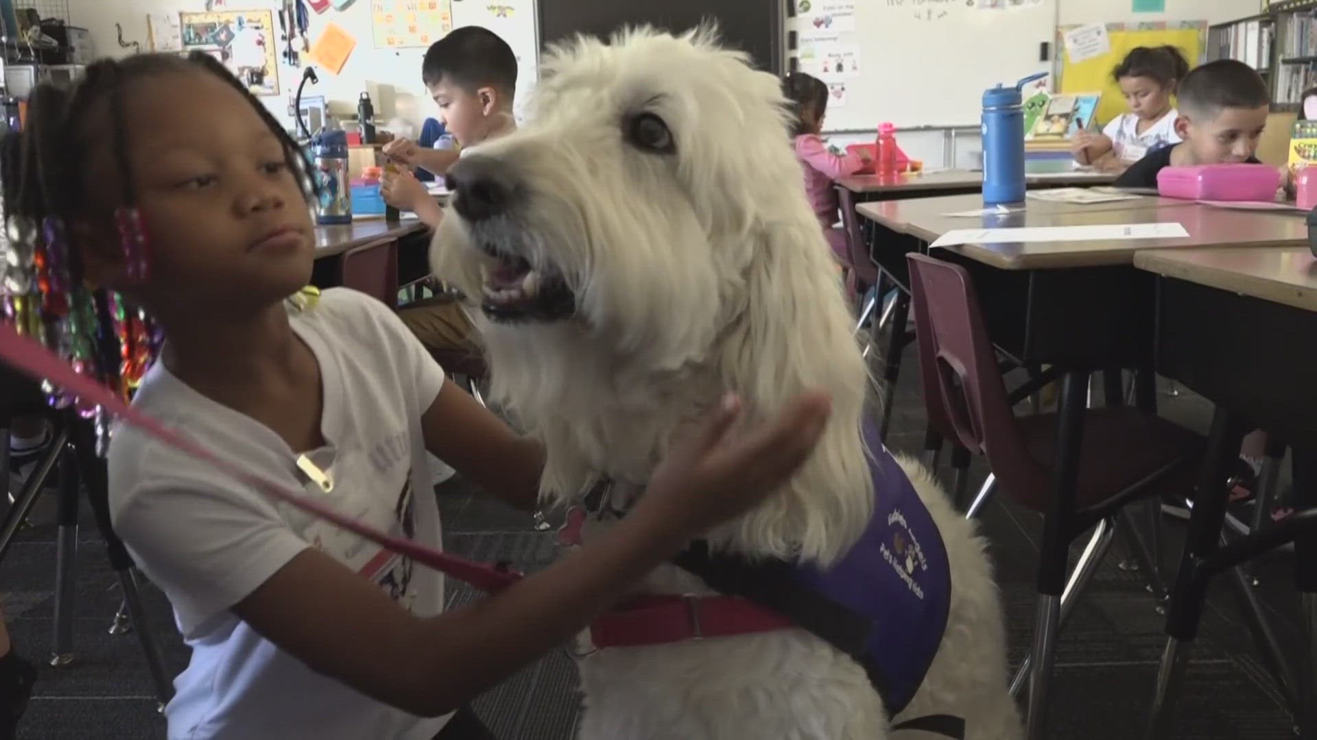 There's a lot to learn on the first day of school, but elementary school students at risk are getting help from some fluffy friends.
