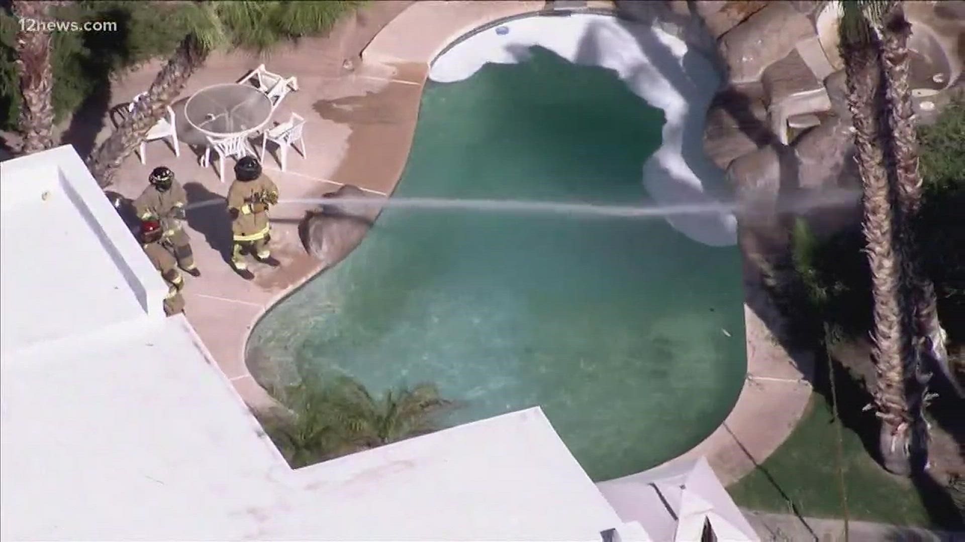 Scottsdale firefighter were able to rescue two from a swarm of bees, but a landscaper, stung multiple times in another area of the city, is in critical condition.