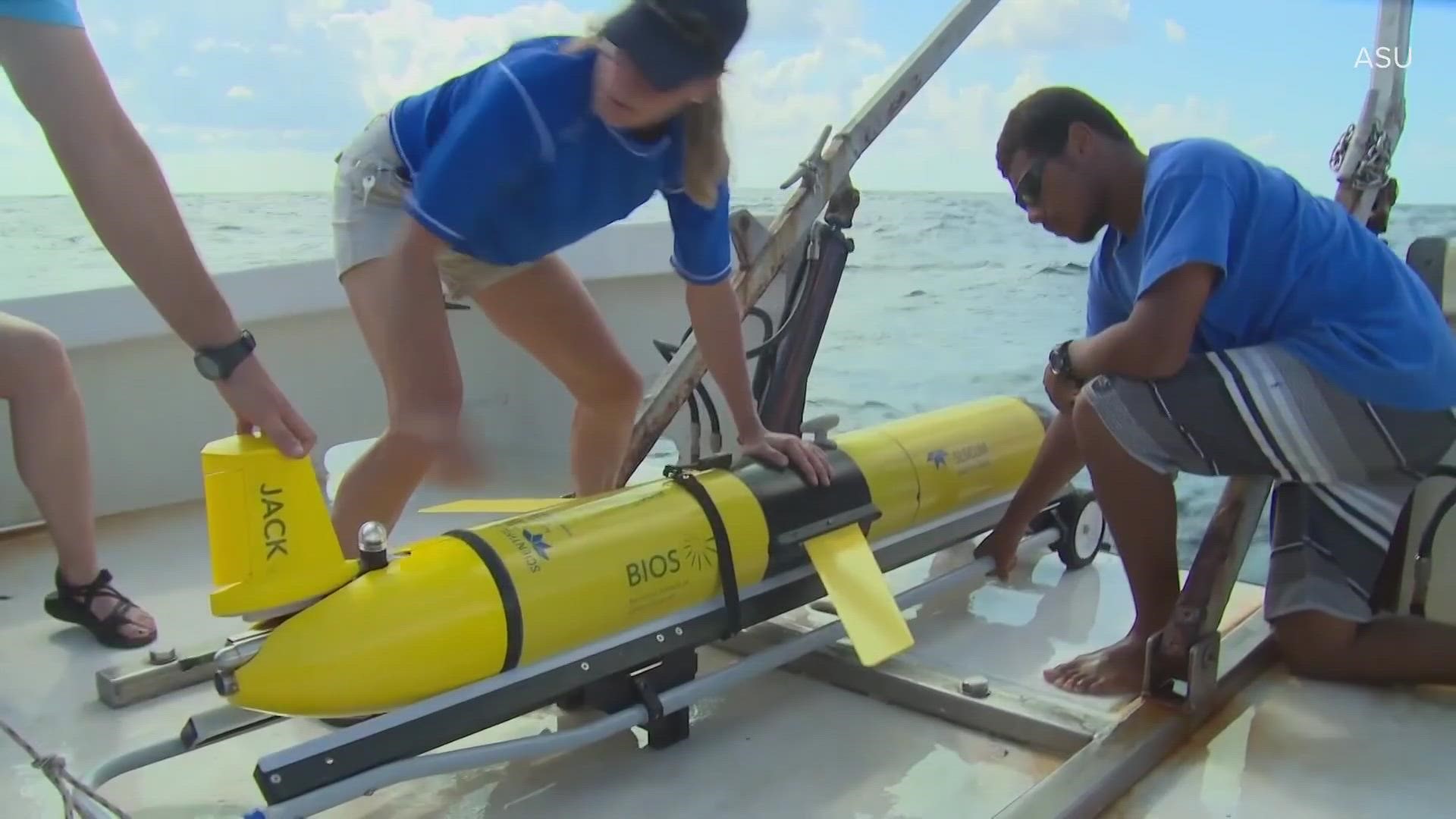 Arizona isn't the first place most people think of when considering the ocean, but a new school at ASU is pushing the limit of what's possible for students.