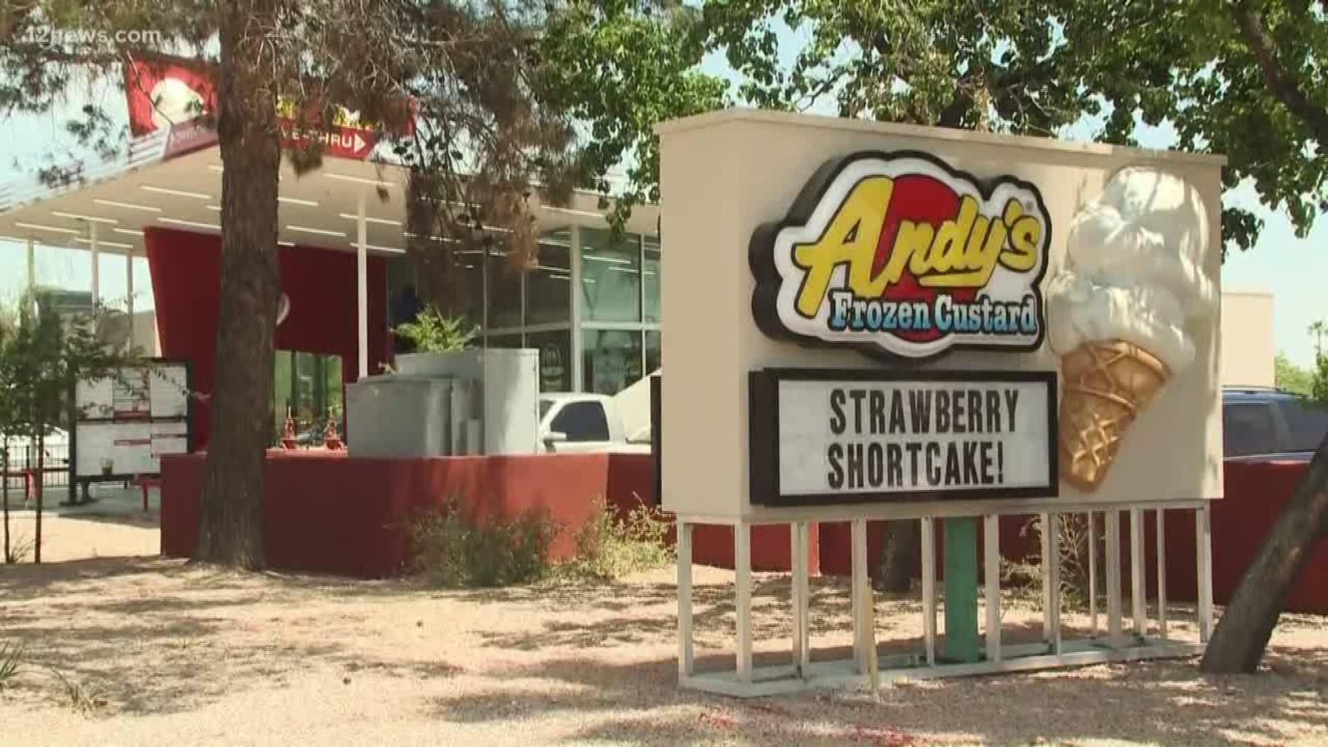 A boy was shot in the head with a B.B. gun pellet while in line at an ice cream shop in Ahwatukee.