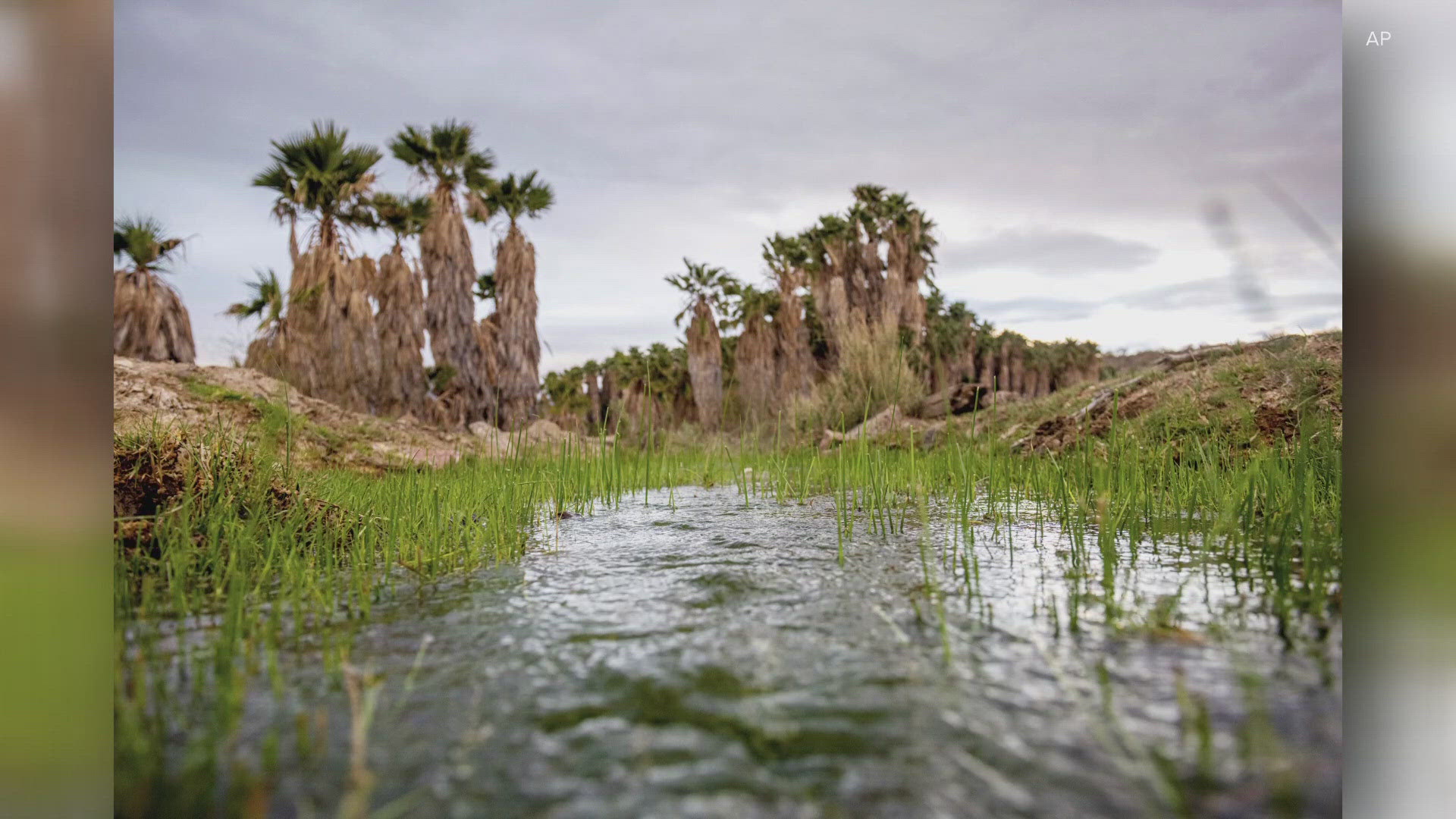 Tribal members say this lithium drilling project was near culturally significant lands. Troy Lynch has more on the story.