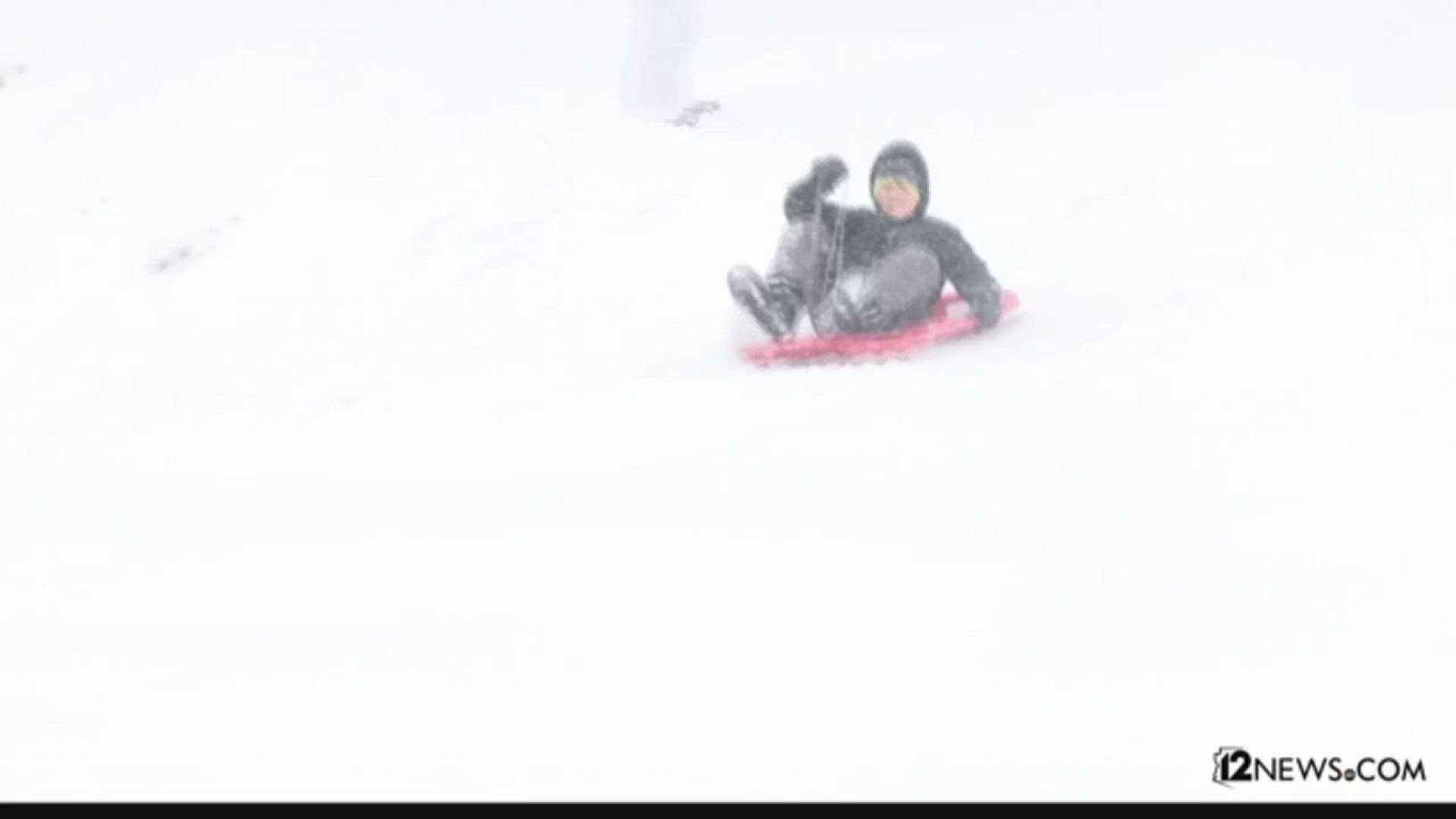 Sledders enjoyed a heavy snowfall the morning of Jan. 19 at Crowley Pit (8,000 feet, about 30 minutes north of Flagstaff).