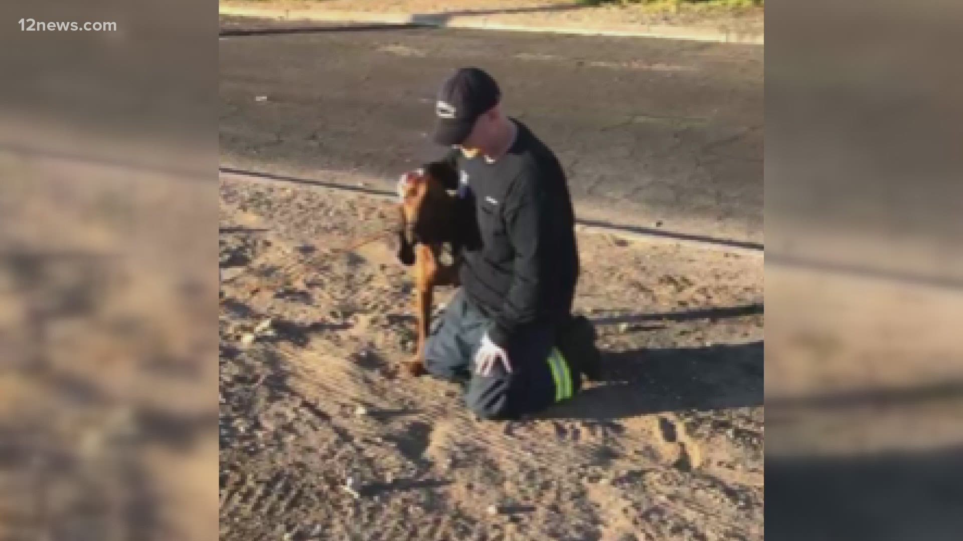 A dog is home safe thanks to a brave rescue from a rookie Phoenix police officer and the Glendale Fire Department. Almost all of the rescue was caught on camera.
