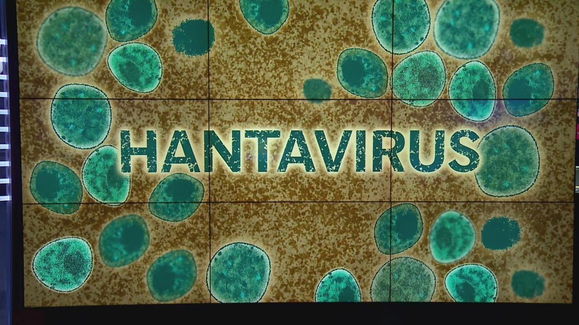 2nd Arizonan onboard cruise ship with hantavirus outbreak undergoing assessment, evaluation in Nebraska