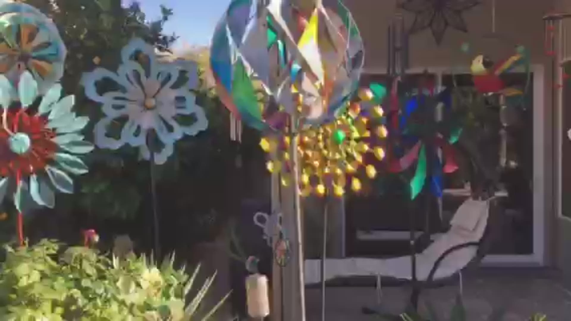 A woman decorated her yard with colorful spinners