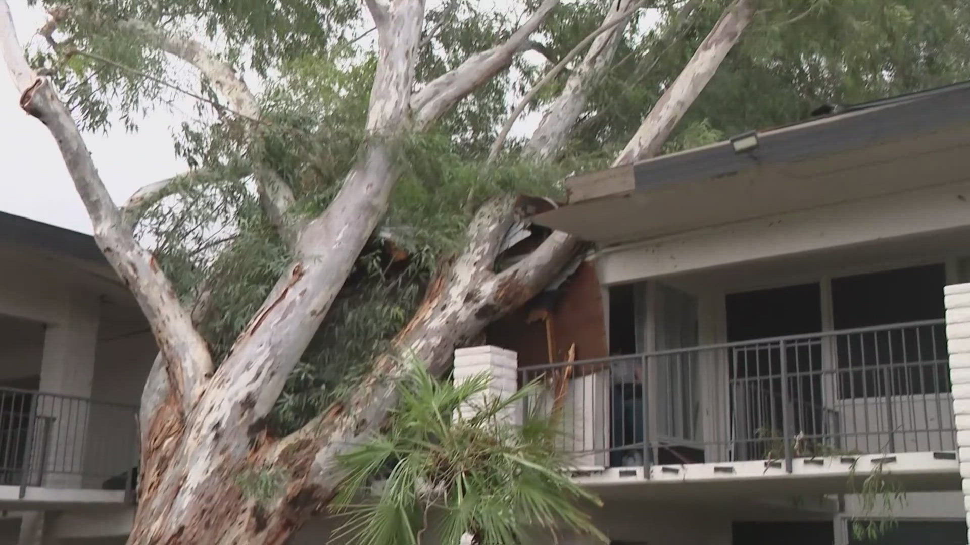 More than 500 homes and 70 businesses in the city reported damage from the powerful microburst.
