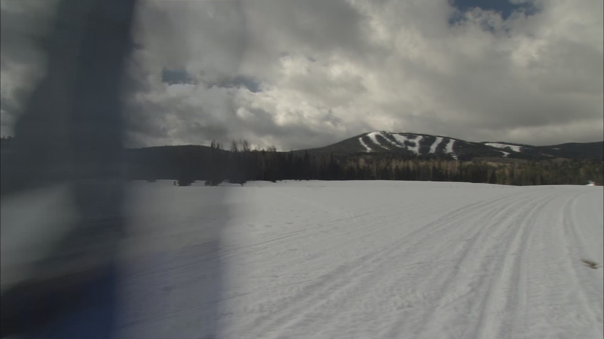 You don't have to leave Arizona to find racing sled dogs.