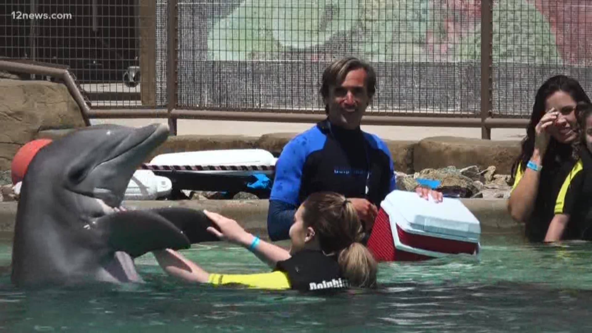 Dolphinaris has been a source of controversy before it even opened it's doors several years ago. Now, after a third dolphin has died, a marine biologist sits down with 12 News to explain the pros and cons of having these sea creatures in the desert.