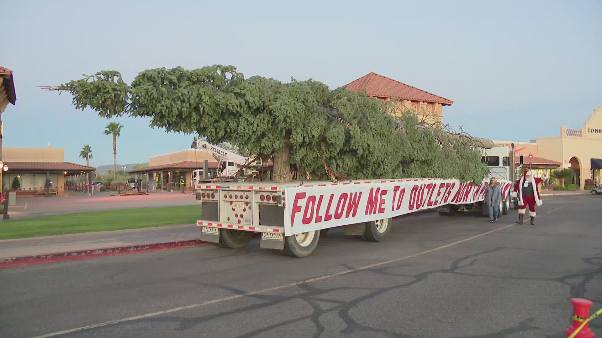 Christmas in Phoenix Freshcut tree arrives at outlets in Anthem