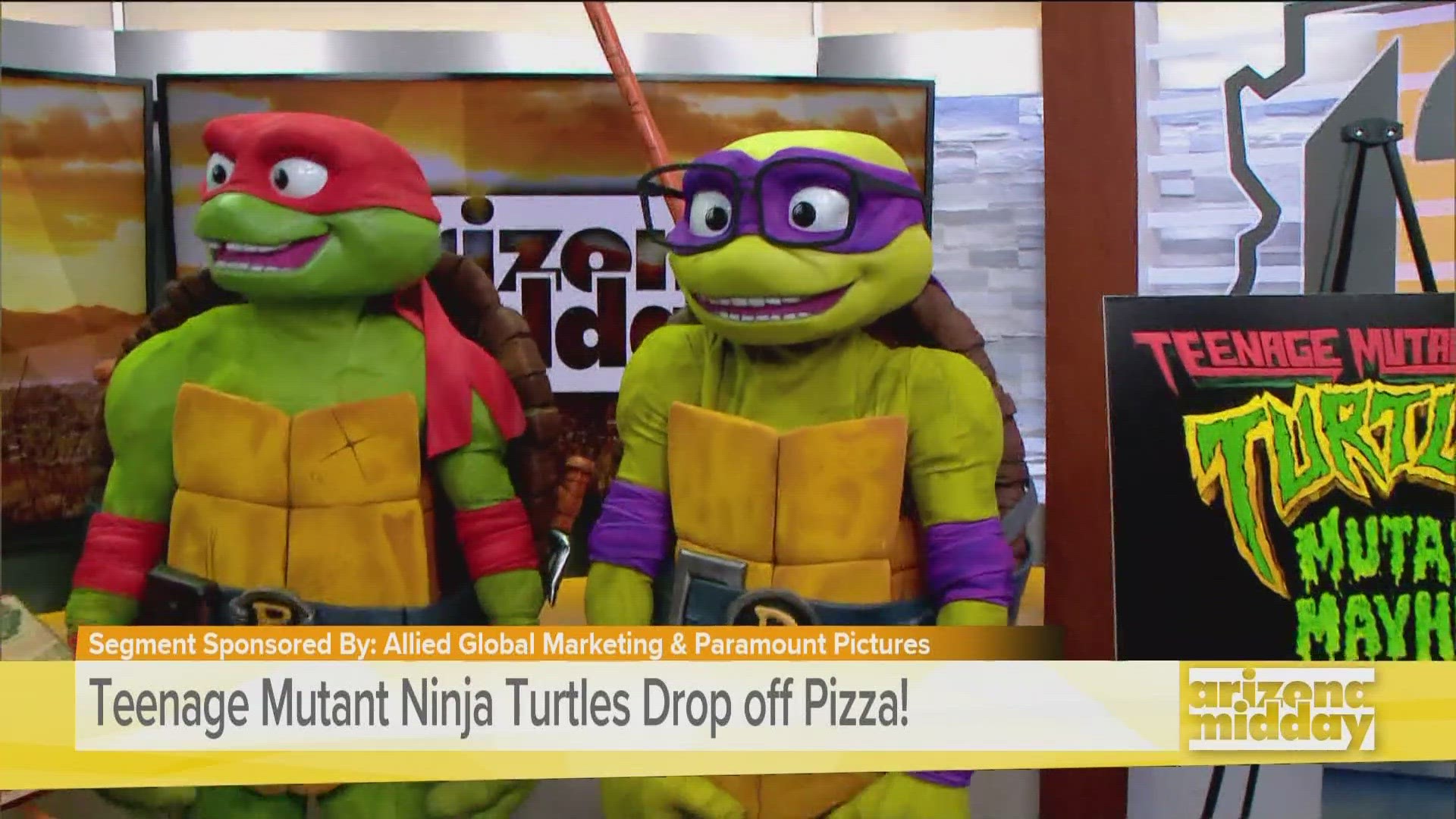 Teenage Mutant Ninja Turtles Donatello Michelangelo Raphael T