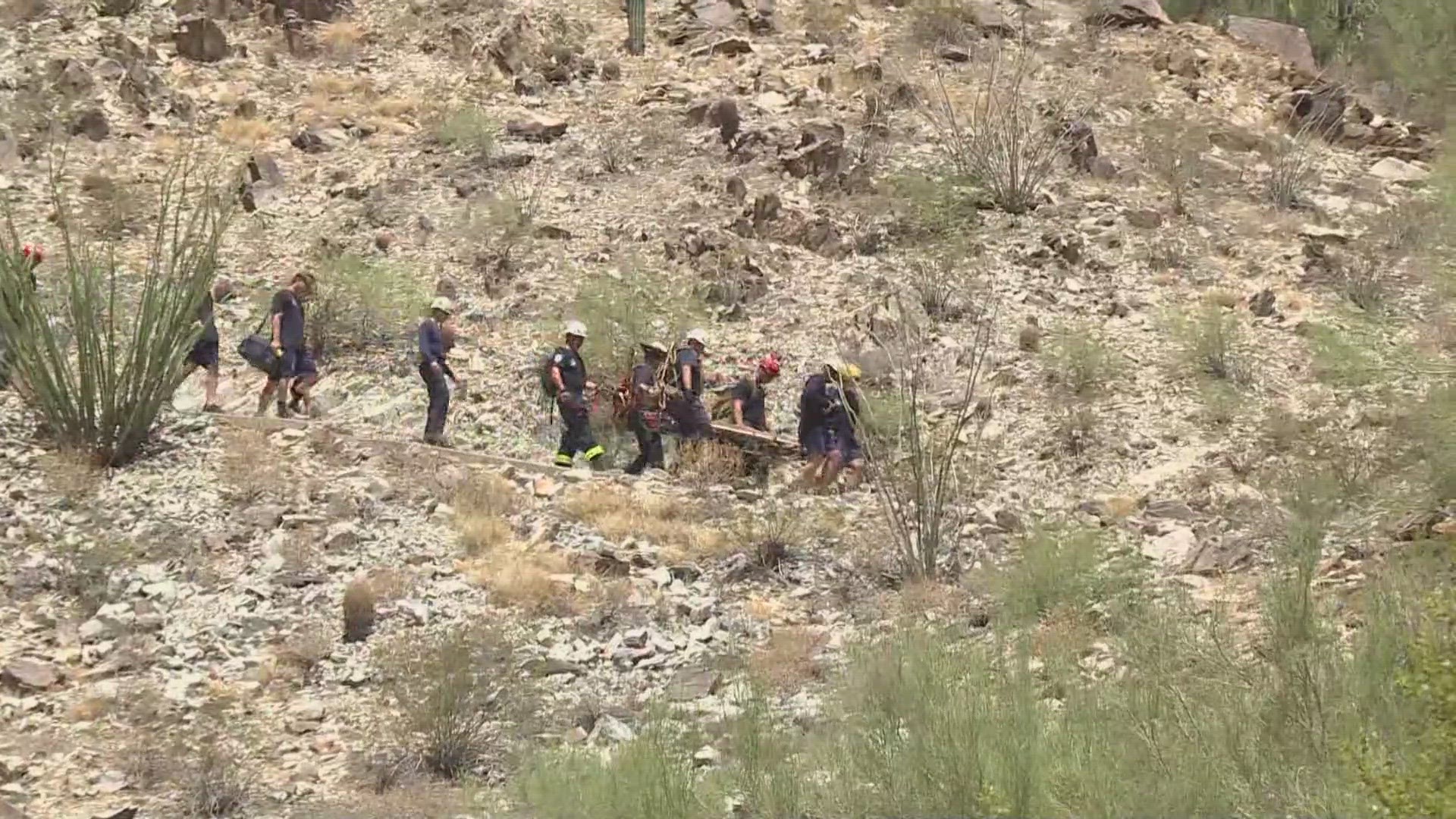 A man with two dogs was rescued from Piestewa Peak Wednesday after suffering a heat-related emergency. One of the dogs did not survive, officials said.