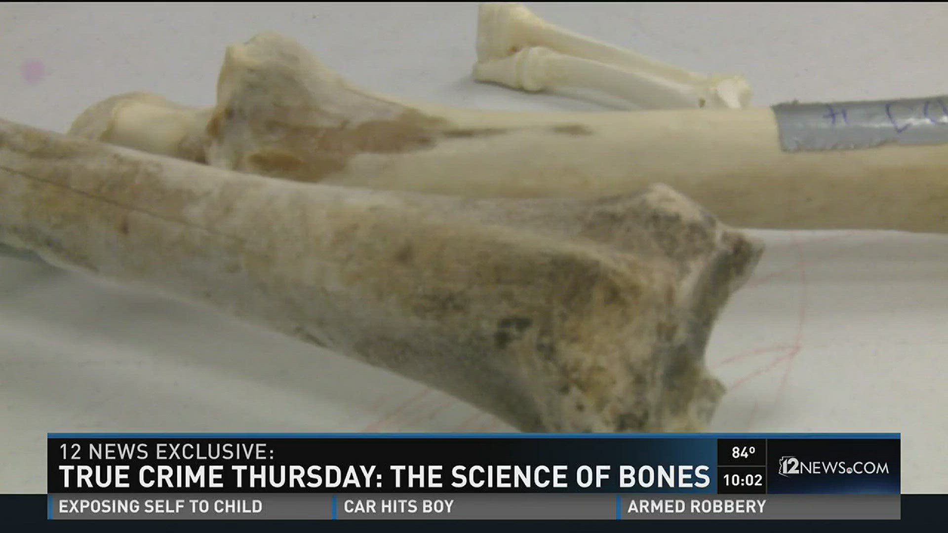 Arizona search members work to identify bones | 12news.com