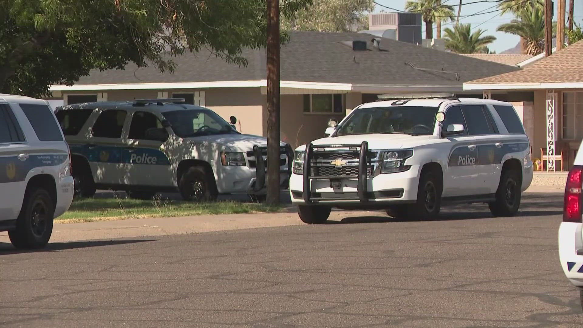 The Phoenix Fire Department said the child was found in a backyard pool Sunday afternoon near 19th Avenue and Osborn Road.