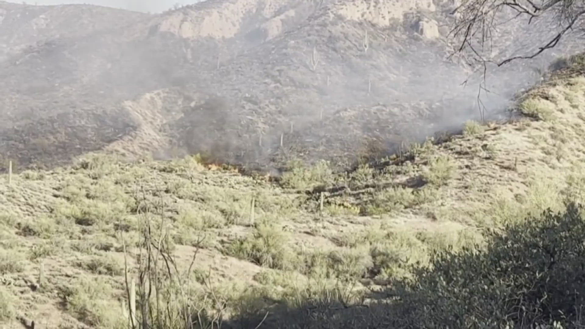 Here's an update on several wildfires burning in Arizona