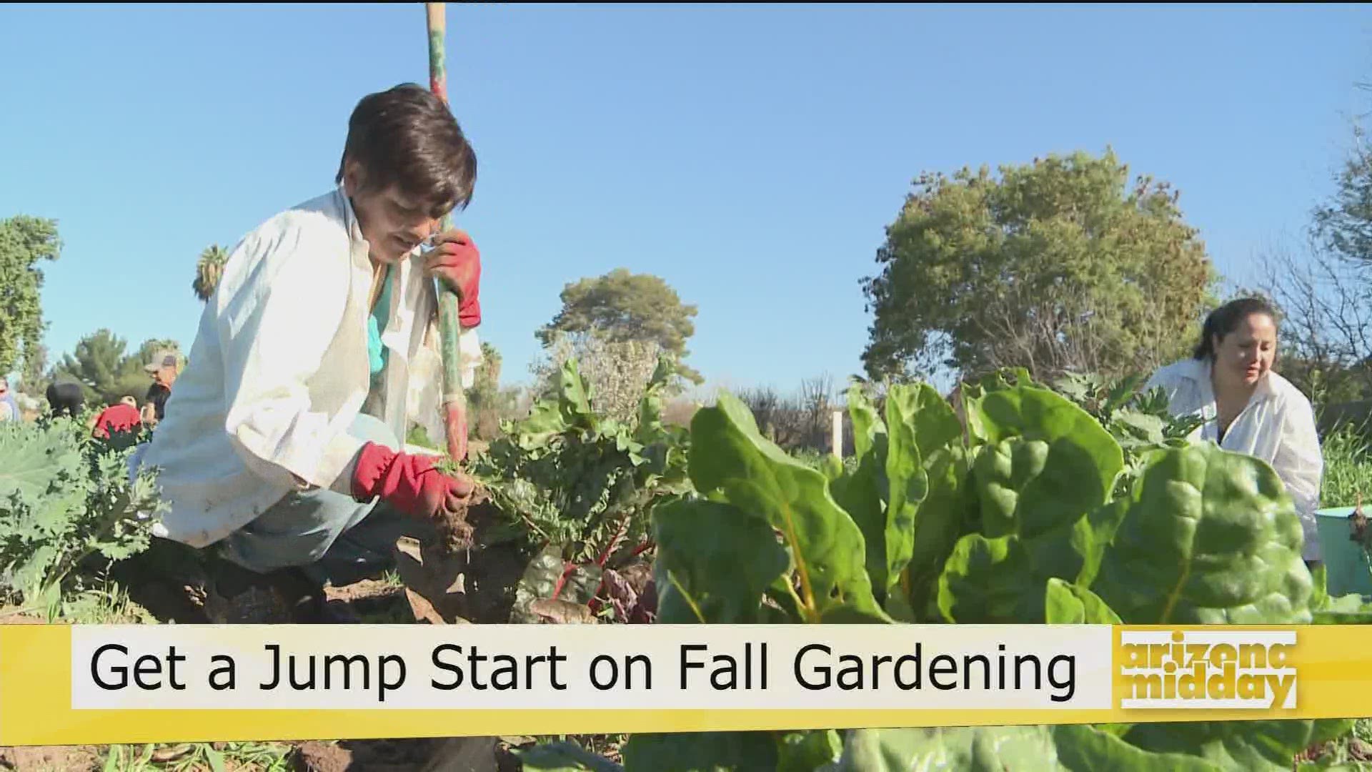Greg Peterson, Founder of The Urban Farm, shows us how to get a head start on gardening for fall whether you have a big backyard to a small patio