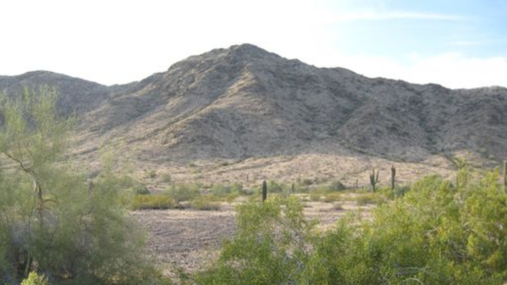 A hiker found human remains on South Mountain, a popular spot for hiking in south Phoenix, on Saturday. Watch the video above for more.