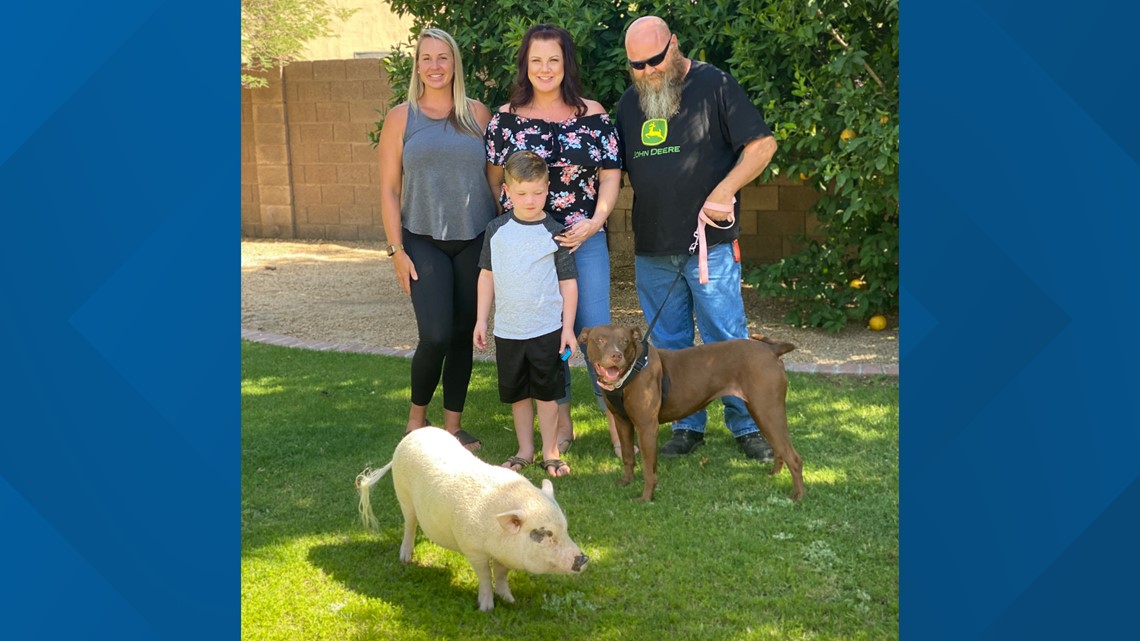 Pit bull and pig find new home together