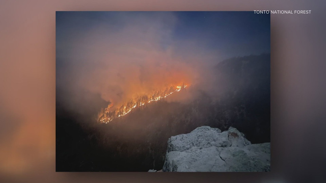 Update on Horton Fire burning in Tonto National Forest | 12news.com