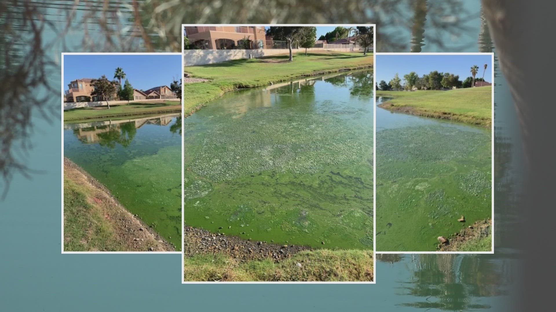 A stench coming from a pond at the Arrowhead Country Club in Glendale has led to complaints from people in a nearby neighborhood and now criminal charges for one man