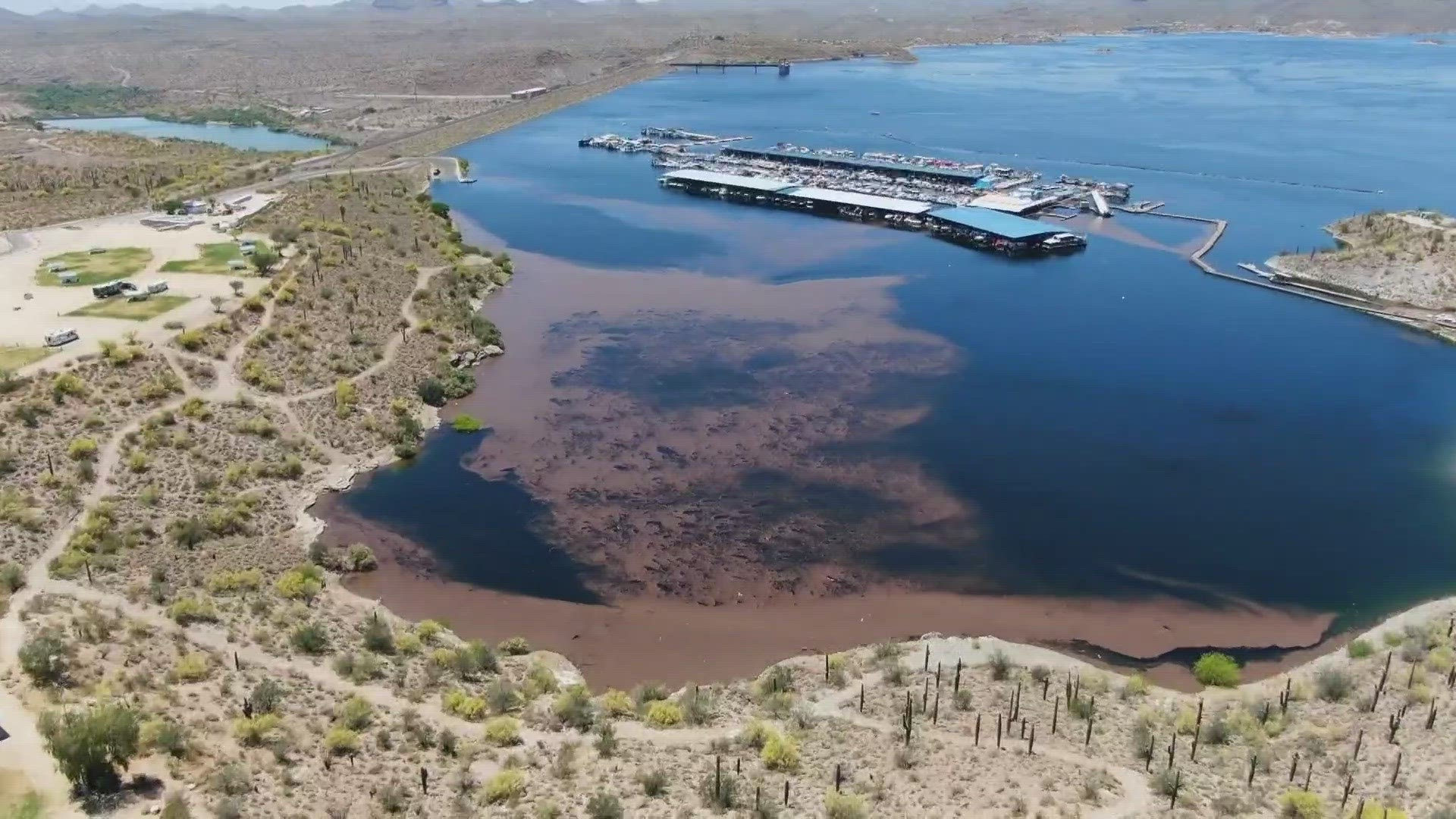 Lake Pleasant is dealing with a pretty disgusting-looking problem – huge floating patches of debris collecting near the marinas and boat launches.
