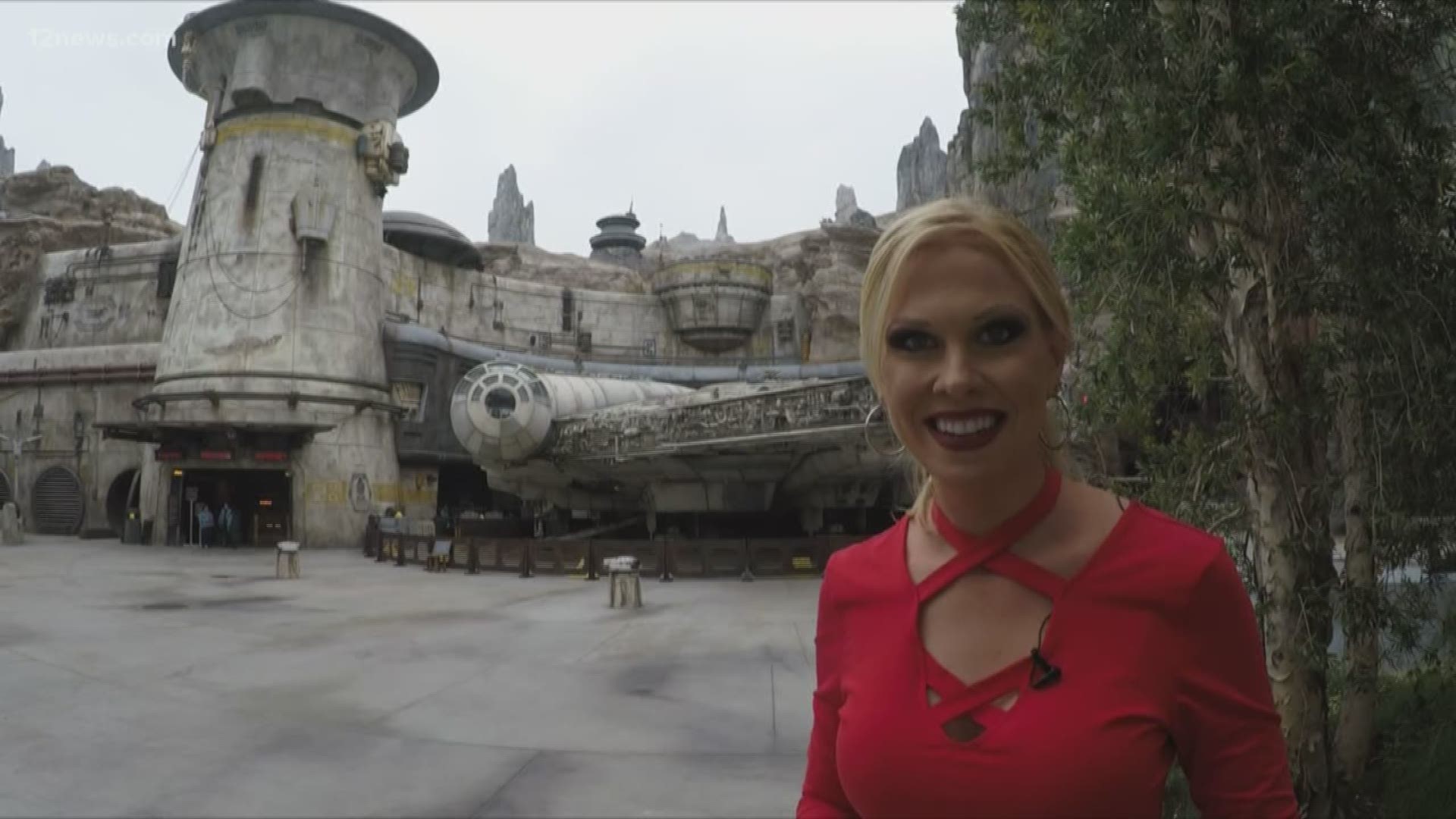 At Disneyland’s Star Wars: Galaxy’s Edge, you can be the pilot, gunner or engineer aboard the Millennium Falcon for a thrilling interactive smuggling mission. After you jump into hyperspace, the fastest hunk of junk in the galaxy will take you on an adventure with danger around every turn.