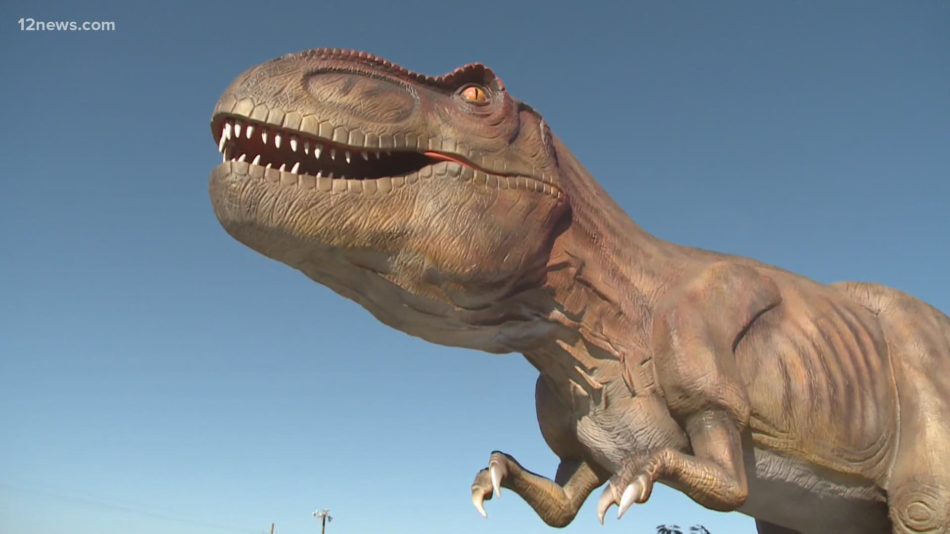 If you're looking for something fun to do this weekend, now's your chance to experience a prehistoric safari with a life-sized T-Rex and raptors!