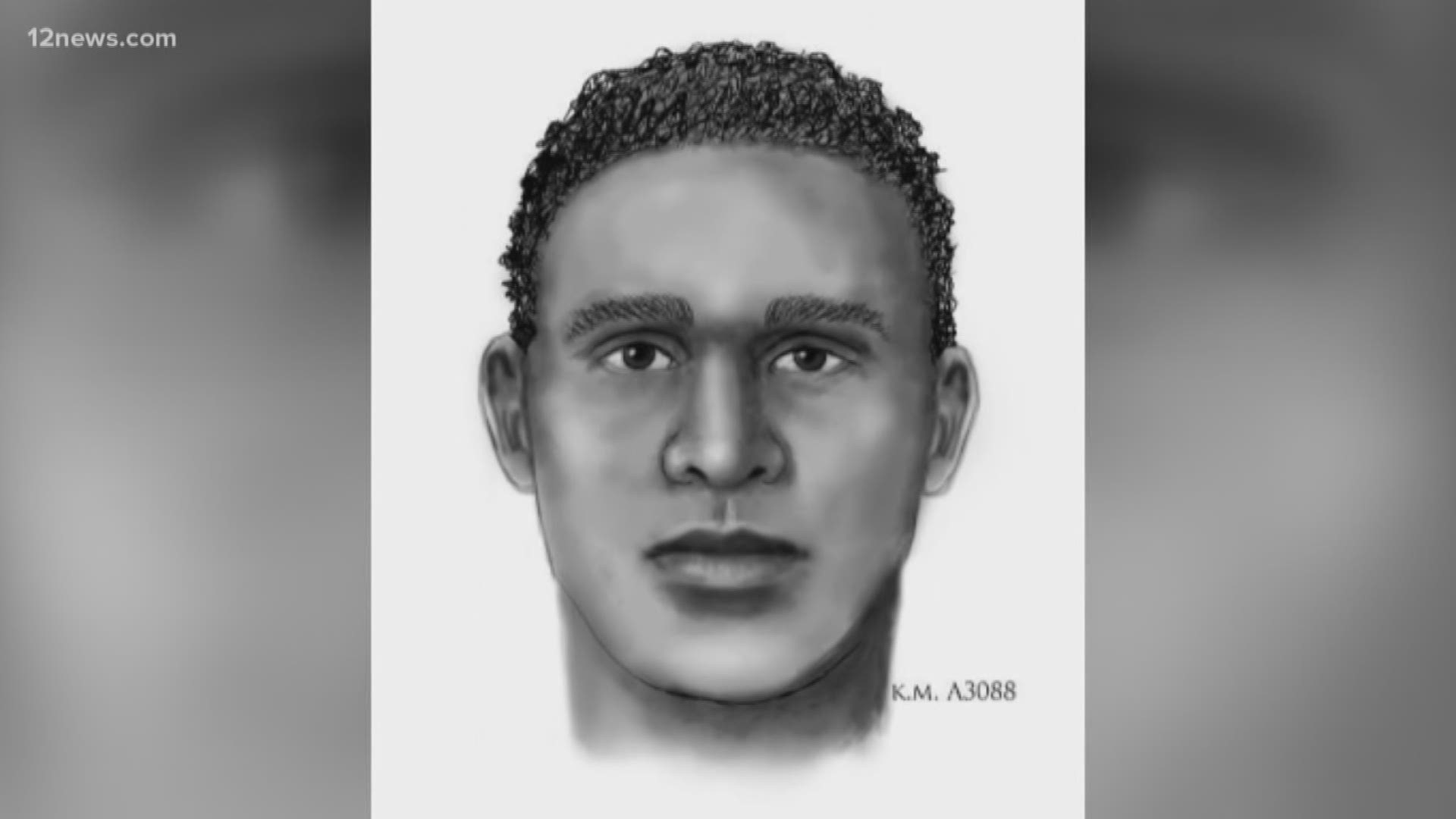 Police have just released surveillance video of three suspects running from the scene of a murder on the train tracks near Lincoln and 15th Ave. They have also released a sketch composite of who they think is the main suspect. If you have any information