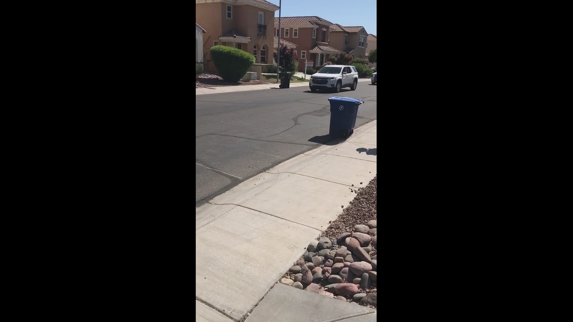 A neighbor plays nightly inspiration for neighbors