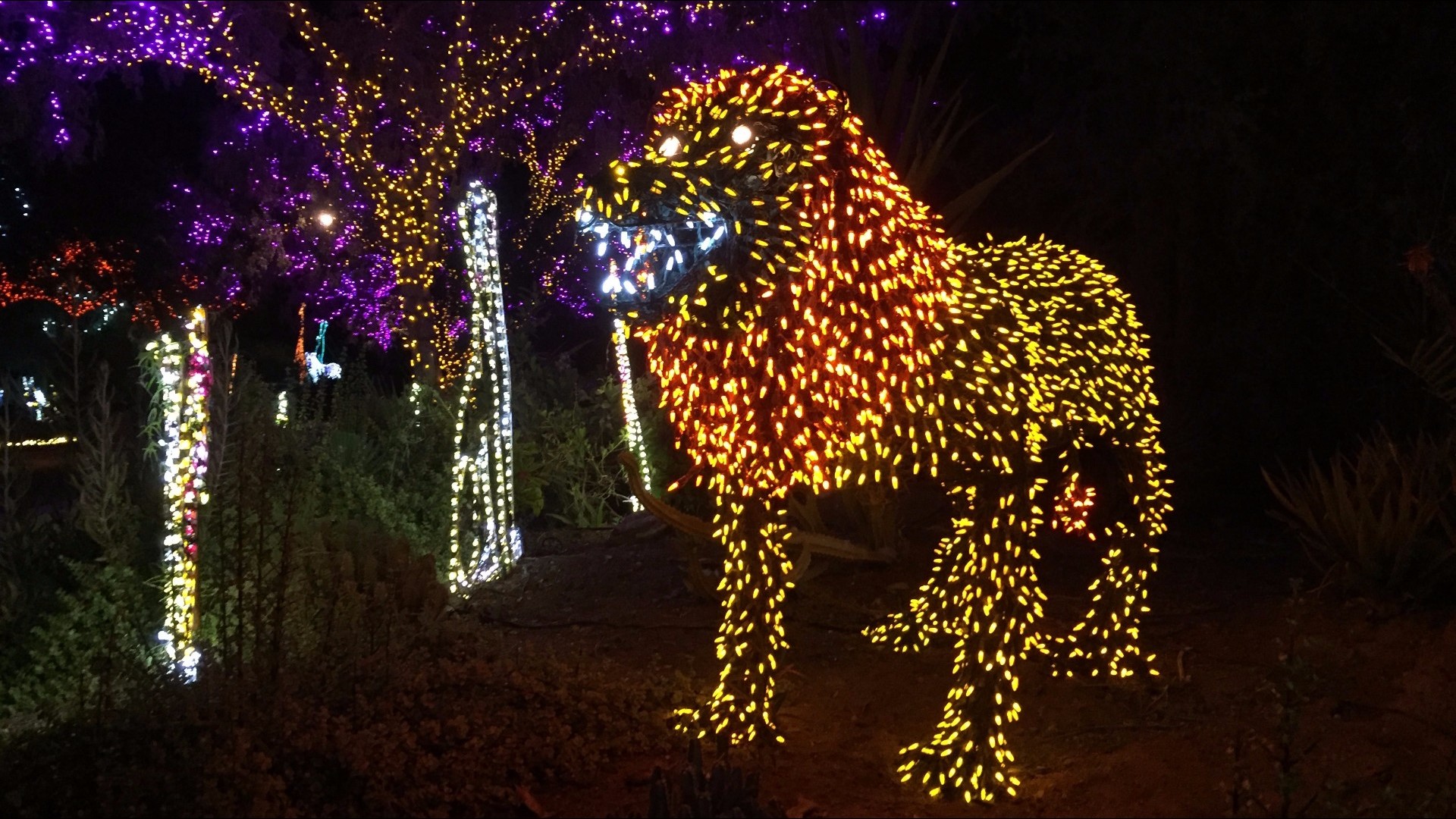 Cast your vote! Phoenix Zoo hoping to be recognized as best zoo lights
