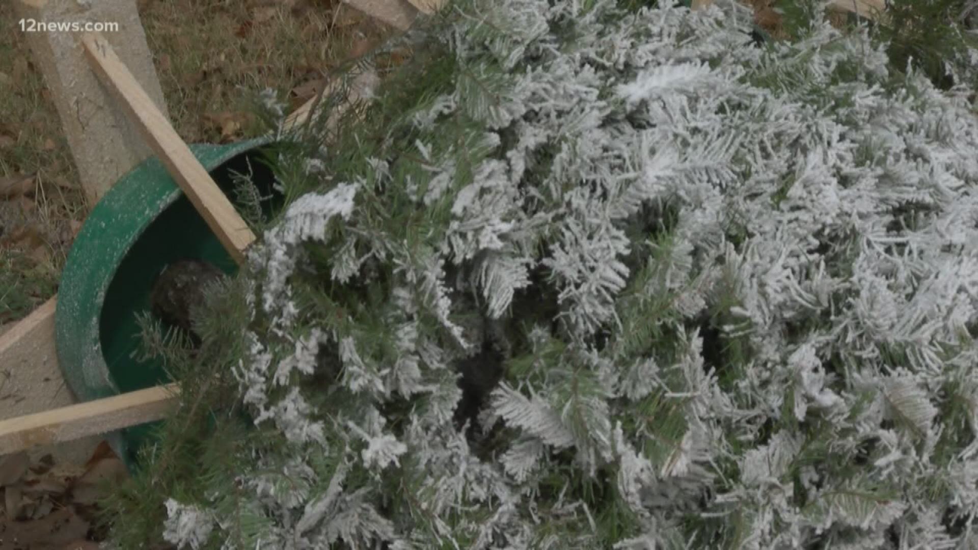 Various cities are already accepting Christmas trees for recycling, here's what you need to know.
