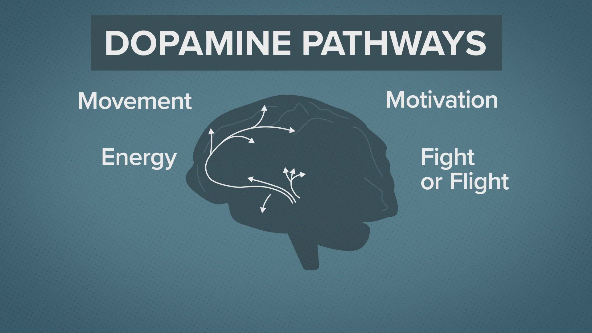 A potentially groundbreaking study is underway at Barrow Neurological Institute, aiming to identify an elusive prize: a clinical biomarker for PTSD.