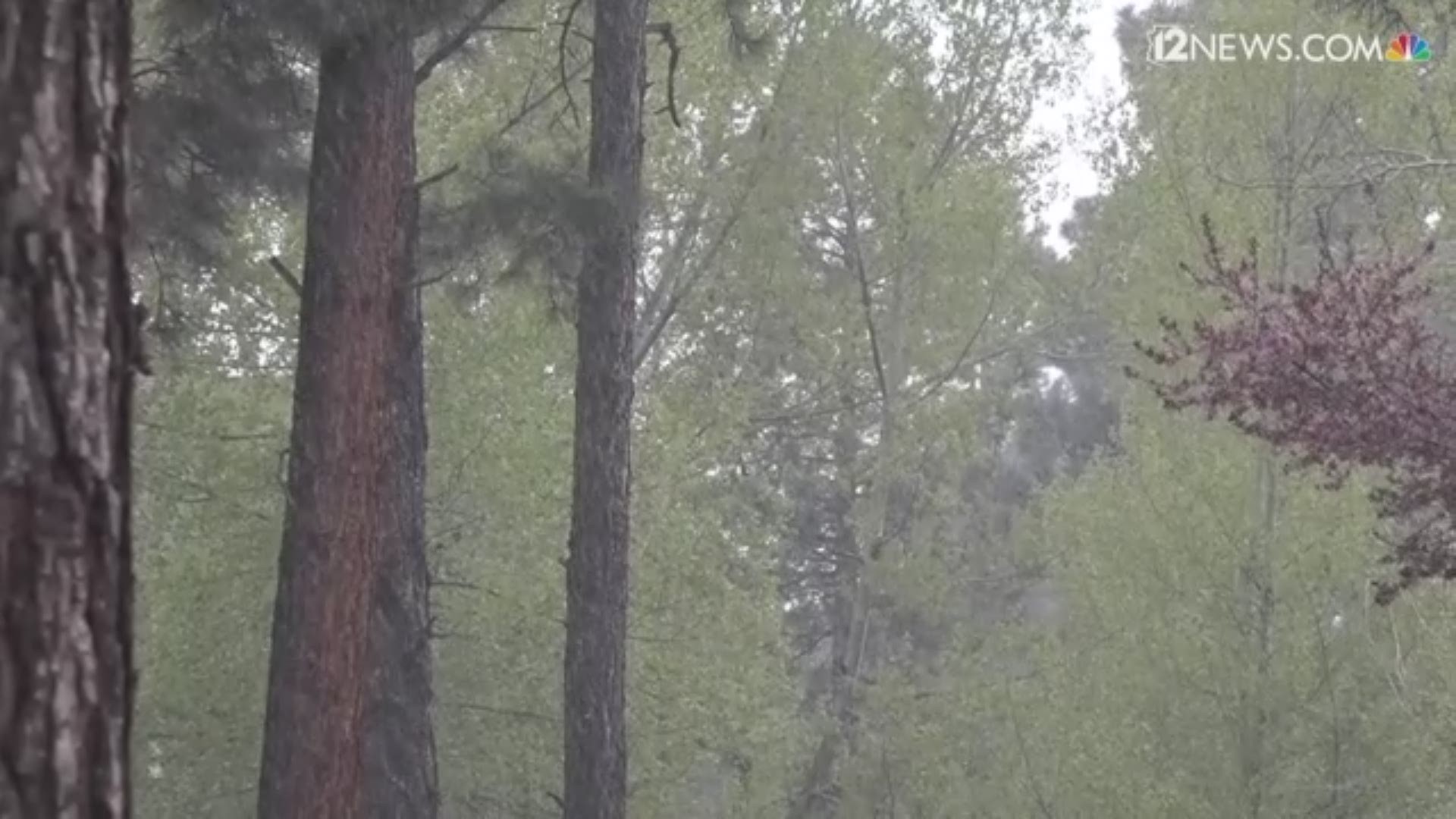 It might be spring, but Flagstaff was looking a little white with snow on May 2.
