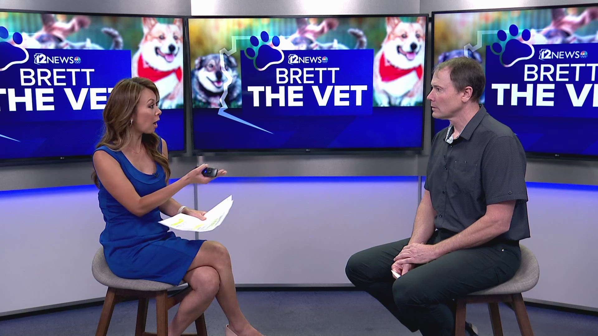 Brett the Vet is back on 12News to discuss the ways to keep your furry animals calm during the holiday and monsoon season.
