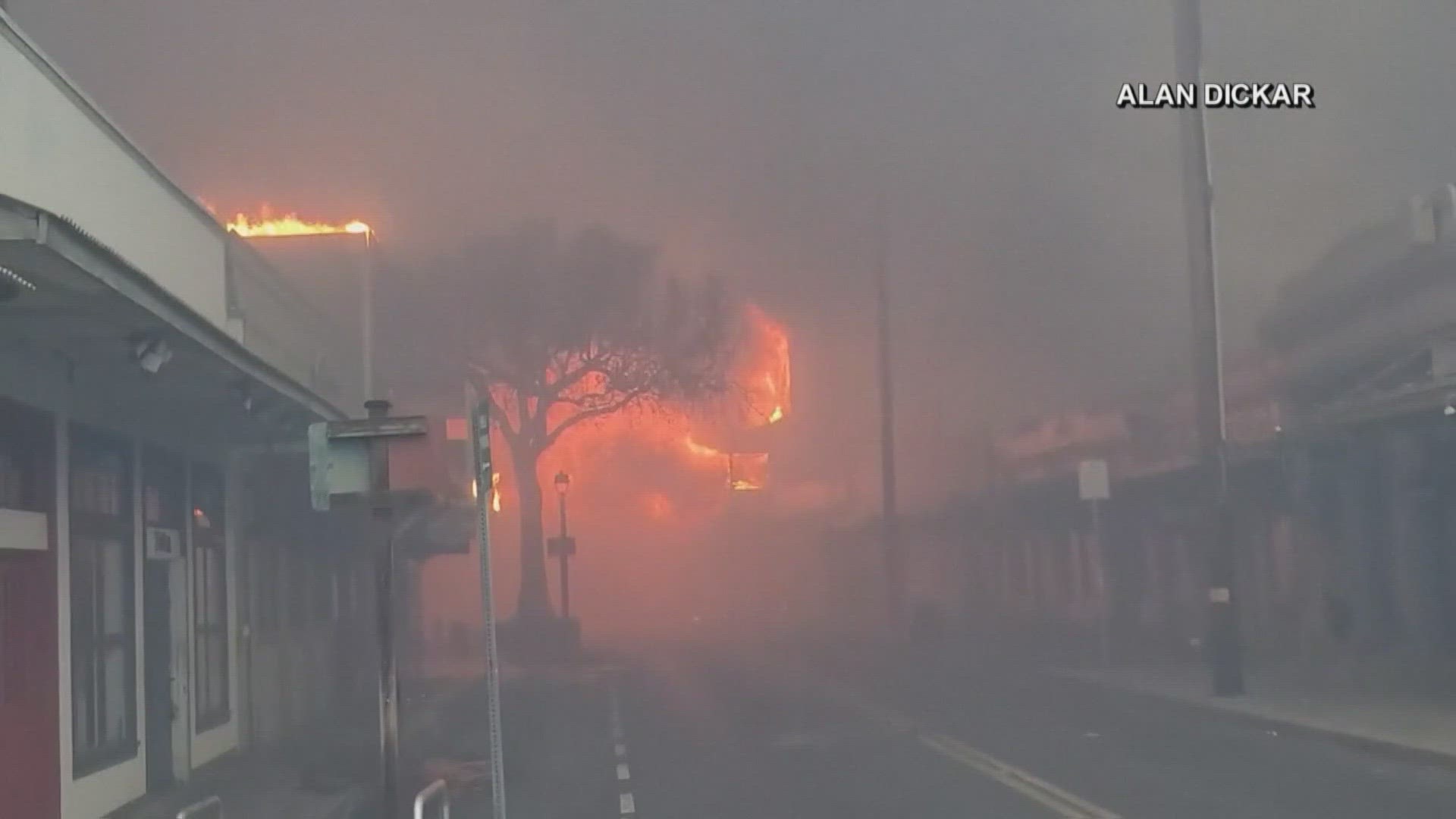 36 people have died in the devastating fires currently burning on the island.