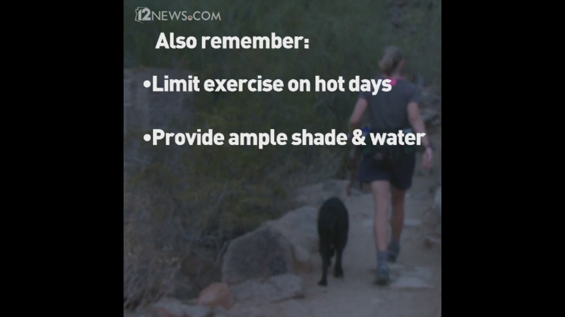 Now that Phoenix has reached triple-digit temperatures, the city is reminding dog owners that their four-legged exercise buddies aren't allowed on hiking trails when the temperature is over 100 degrees.
