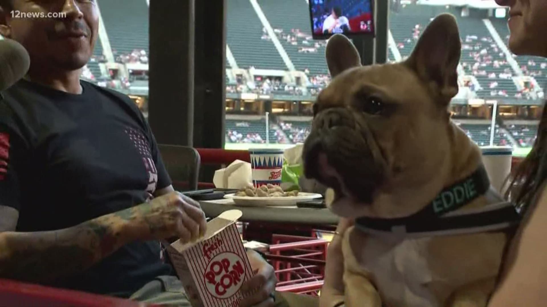 Fans were allowed to bring dogs to Chase Field Friday night for Bark at the Park. But if you missed out, it's not the only time this season.