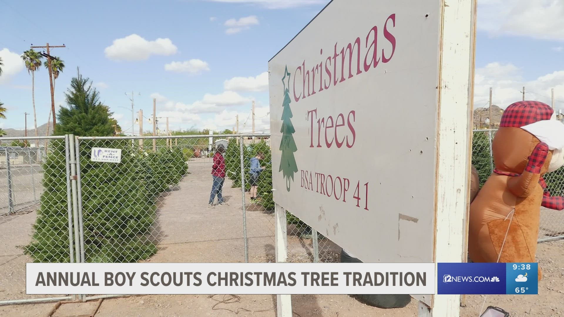 Tradition continues with Boy Scouts Christmas tree lot in Phoenix