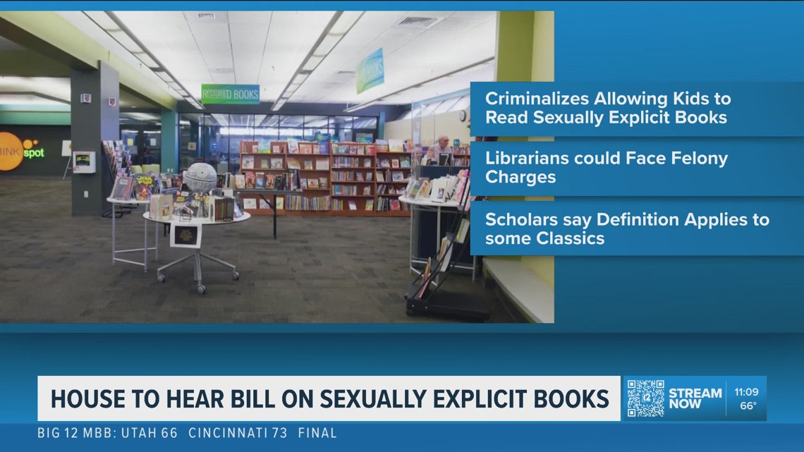 Arizona librarians could face felony charges for giving 'sexually explicit books' to minors