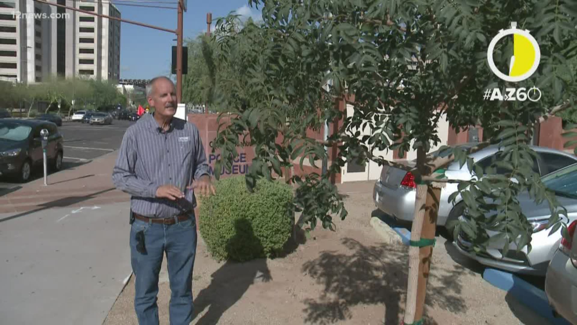 During the extreme heat, we're all looking for ways to stay cool. Colleen Sikora shows us some cool ways they're adding more shade in downtown Phoenix.