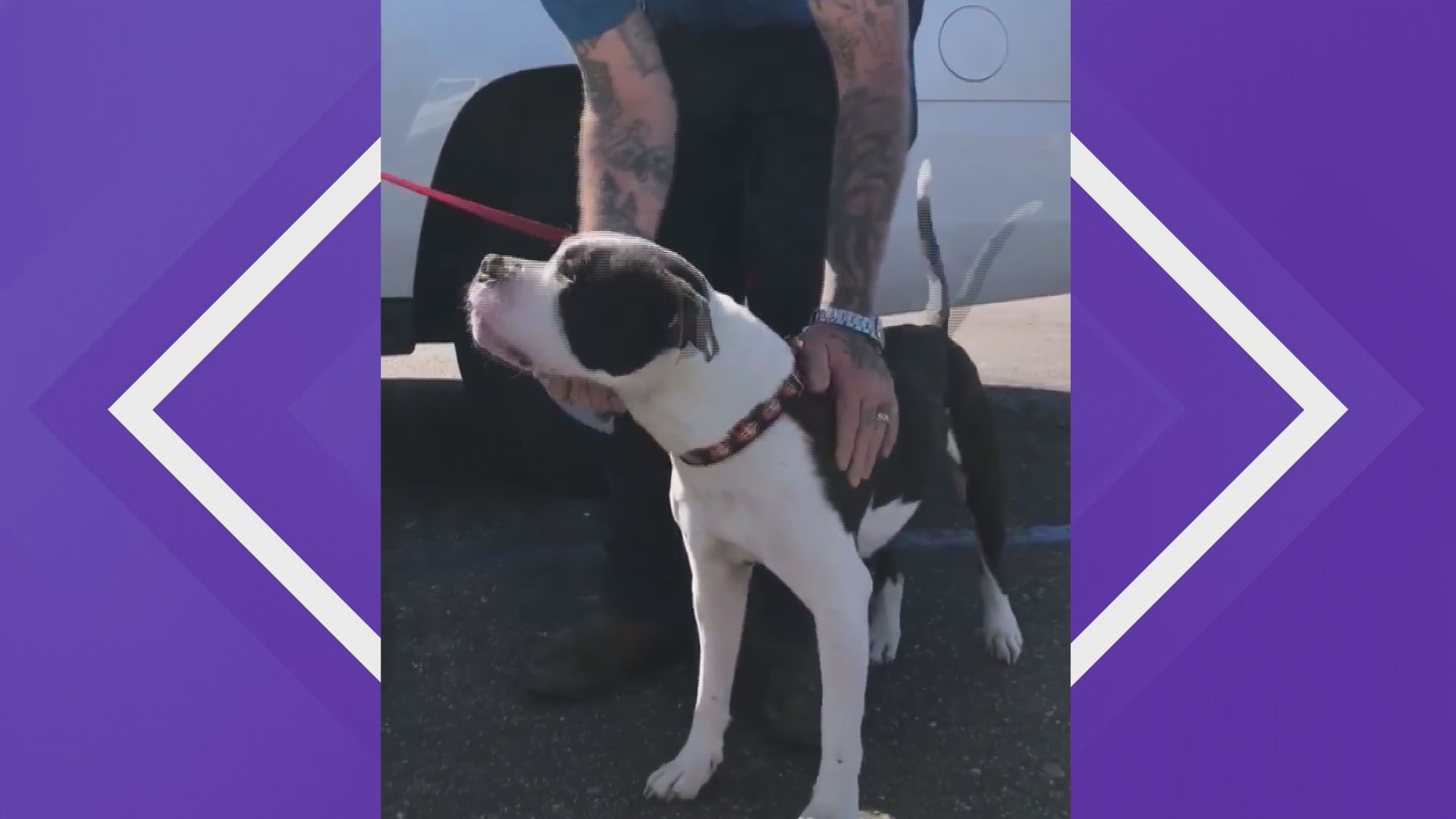 Dozer was ejected from his family's car in a crash near Stoneman Lake on March 12. Nearly two weeks later, he was found.