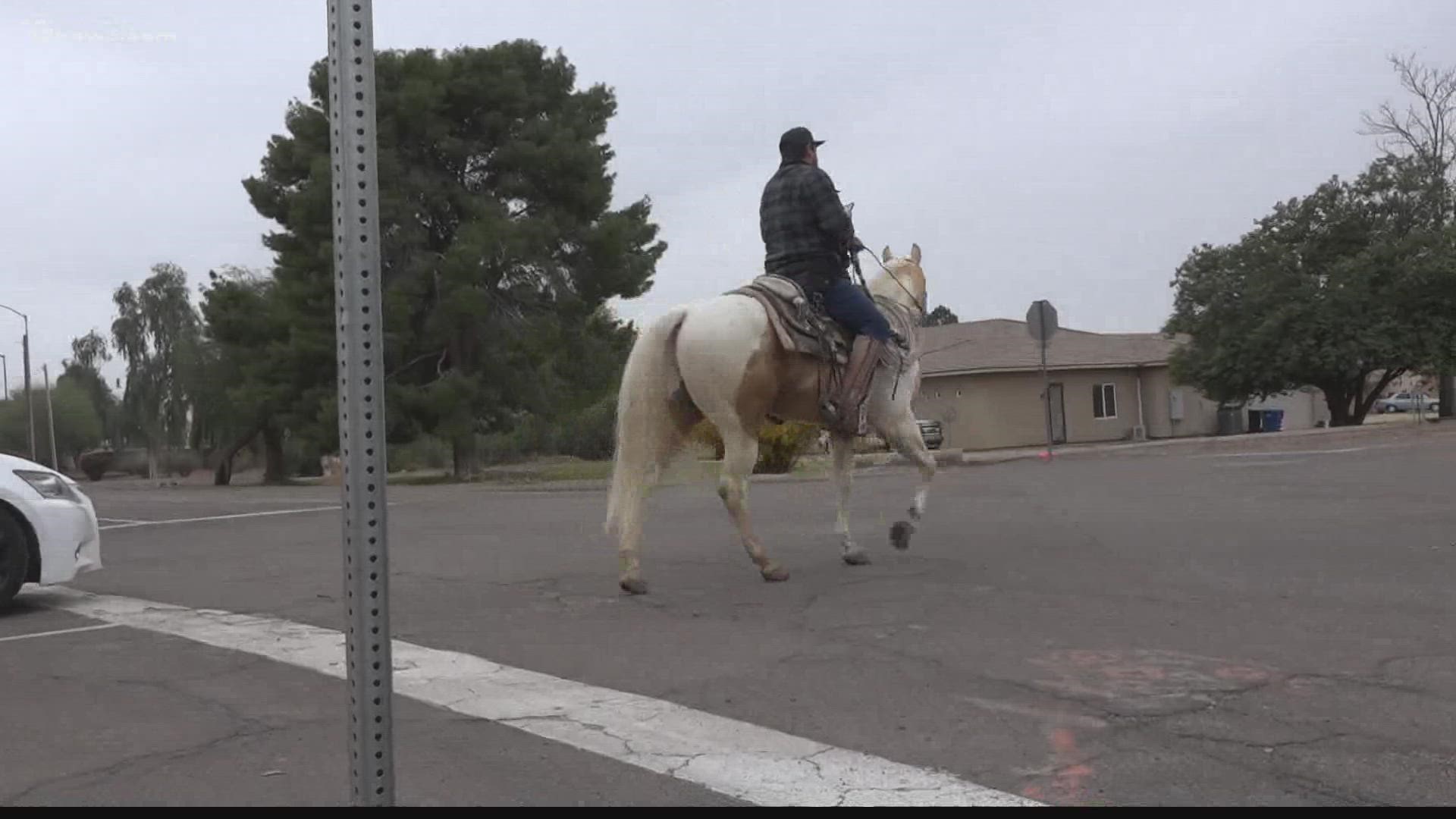 On Wednesday evening, Mesa police say that a driver hit and killed a horse just west of Mesa Drive after the animal bucked off its rider.