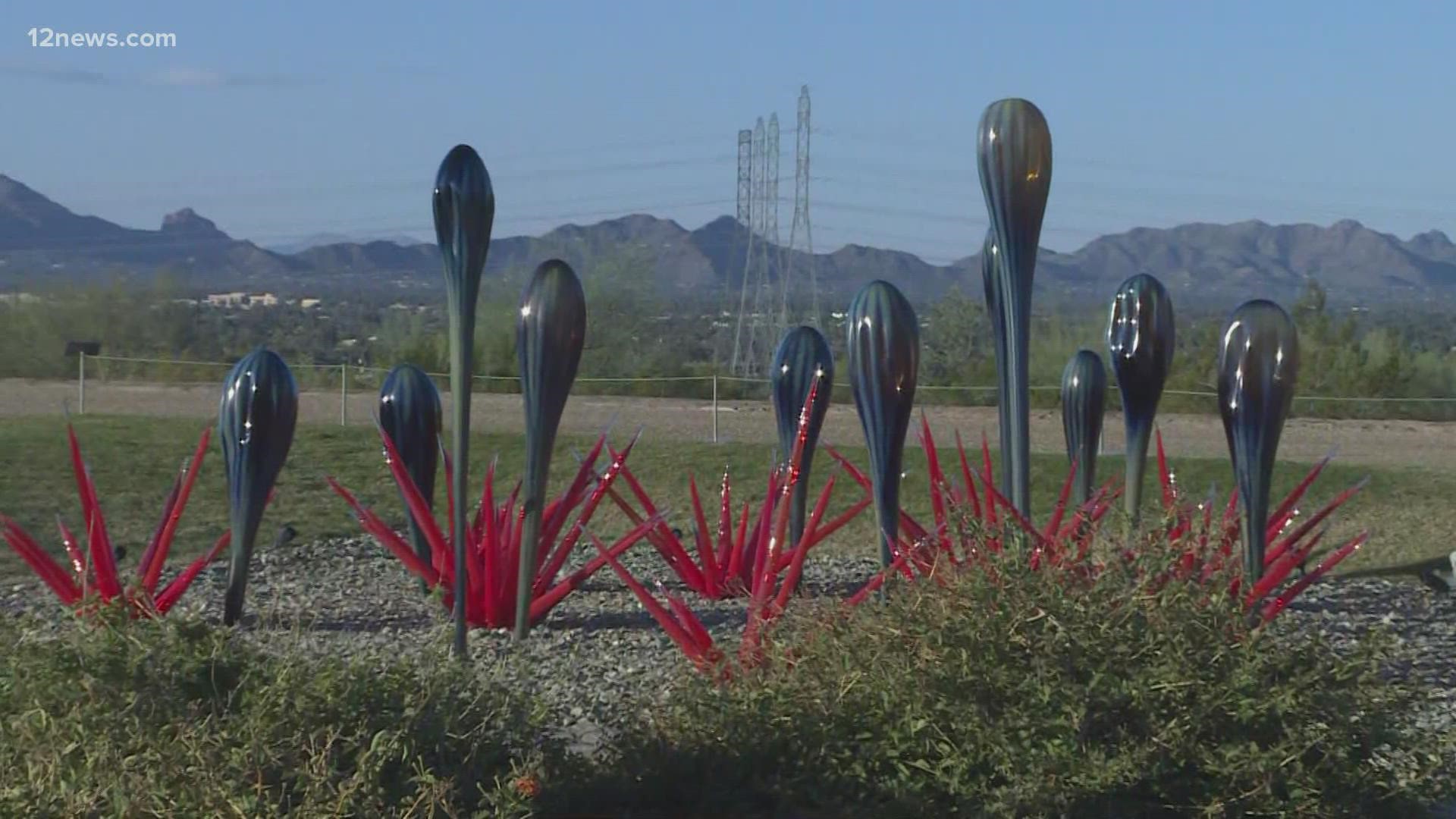 The Chihuly exhibit at Taliesin West in Scottsdale has been opened since December and will continue until Father's Day.