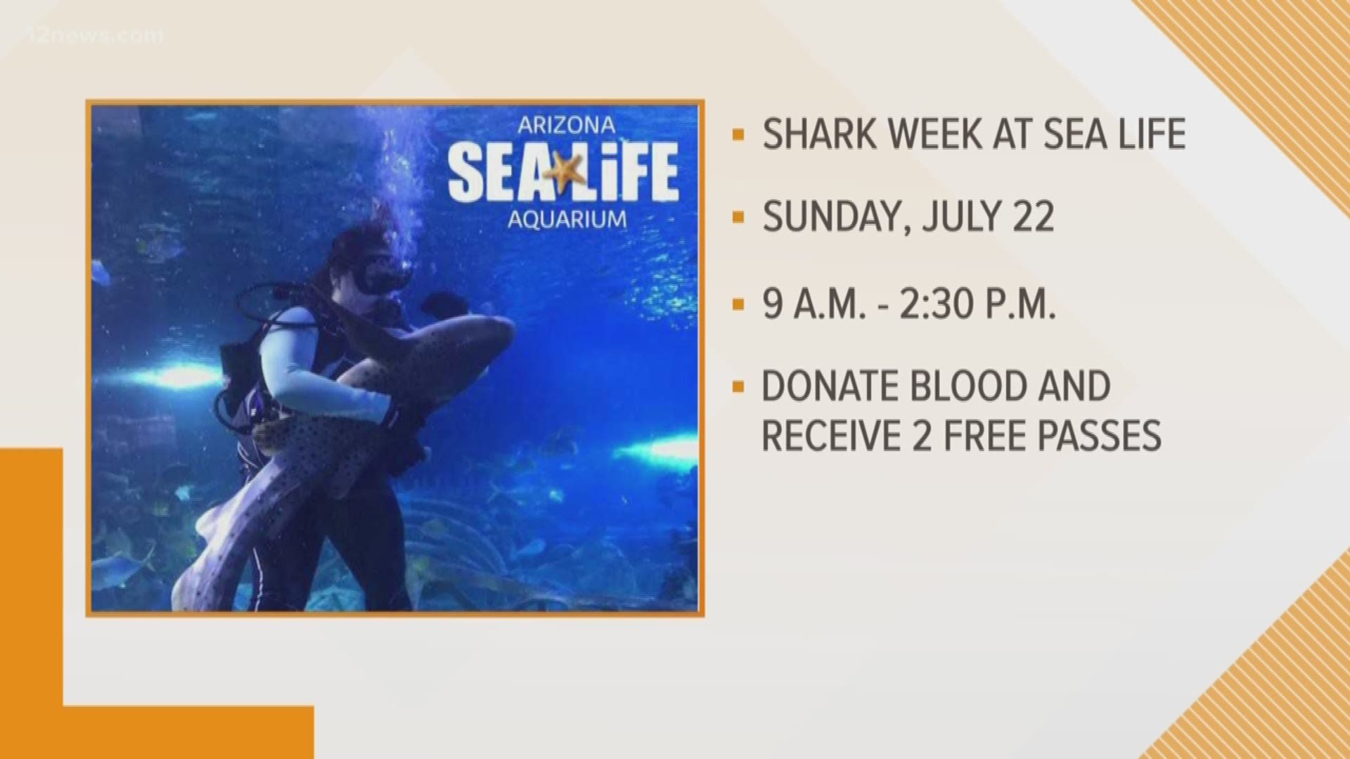 Shark Week kicks off this Sunday at the Sea Life Aquarium in Tempe for free.