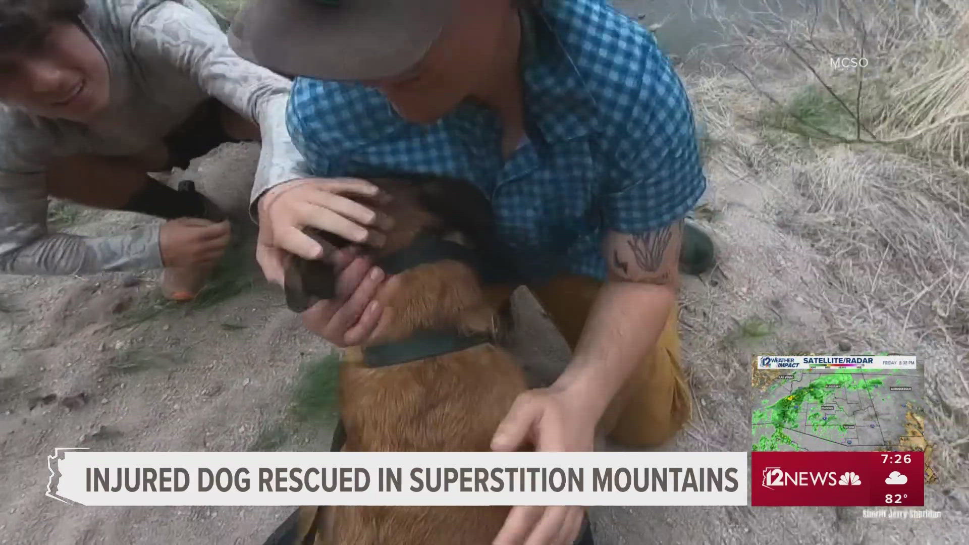 The brave pup was placed in a special K9 harness and lifted to safety, where he was then reunited with his owner.